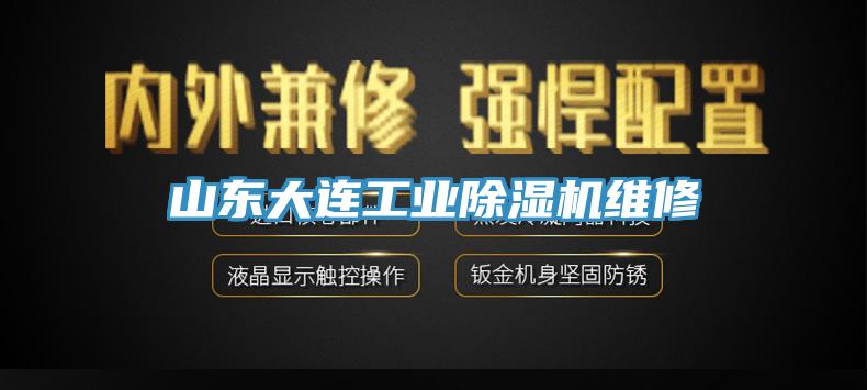 山东大连工业除湿机维修