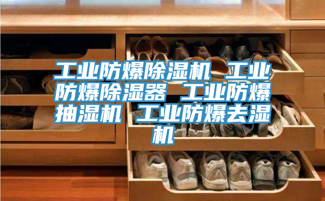 工业防爆除湿机 工业防爆除湿器 工业防爆抽湿机 工业防爆去湿机