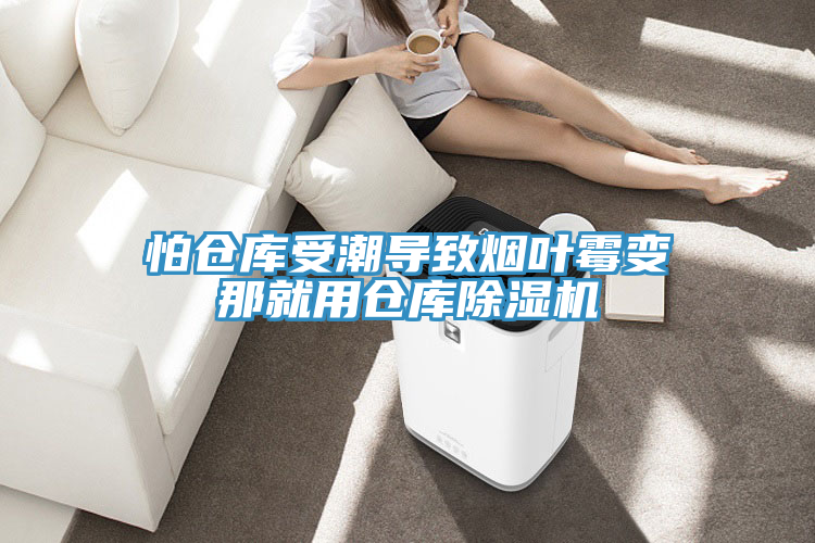 怕仓库受潮导致烟叶霉变那就用仓库除湿机