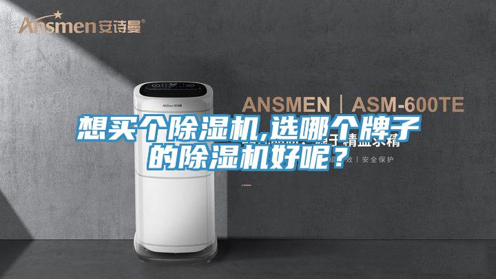 想买个除湿机,选哪个牌子的除湿机好呢？