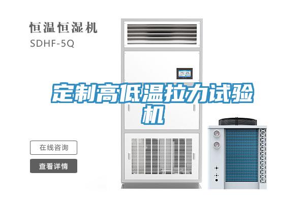定制高低温拉力试验机