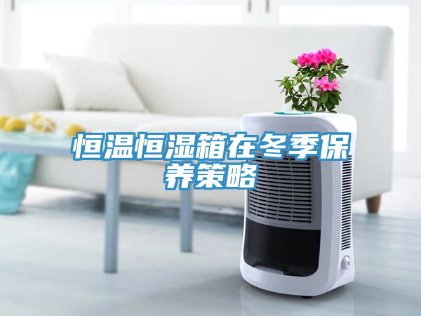 恒温恒湿箱在冬季保养策略