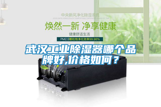 武汉工业除湿器哪个品牌好,价格如何？