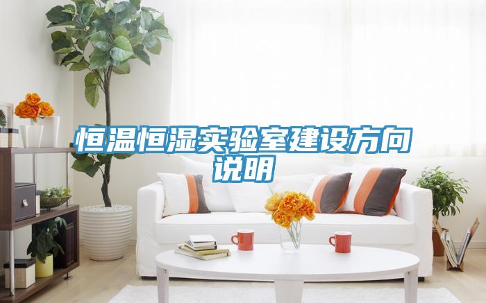 恒温恒湿实验室建设方向说明