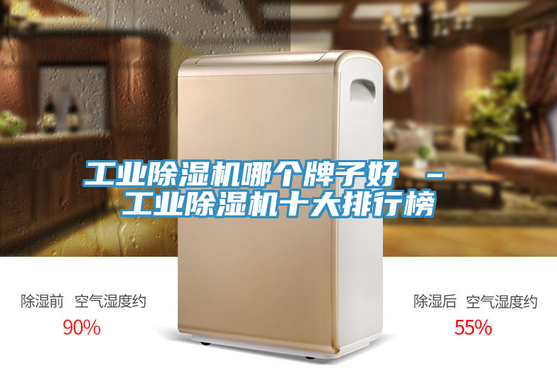 工业除湿机哪个牌子好 – 工业除湿机十大排行榜