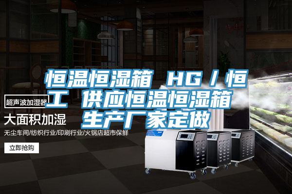 恒温恒湿箱 HG／恒工 供应恒温恒湿箱 生产厂家定做