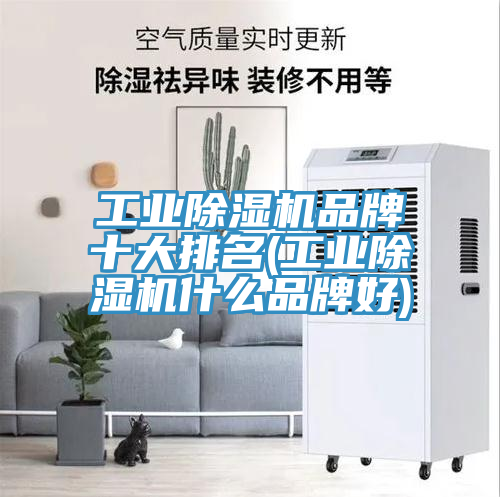 工业除湿机品牌十大排名(工业除湿机什么品牌好)