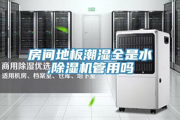 房间地板潮湿全是水,除湿机管用吗