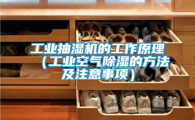 工业抽湿机的工作原理（工业空气除湿的方法及注意事项）