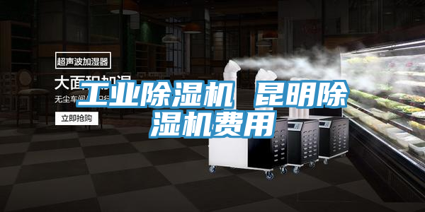 工业除湿机 昆明除湿机费用