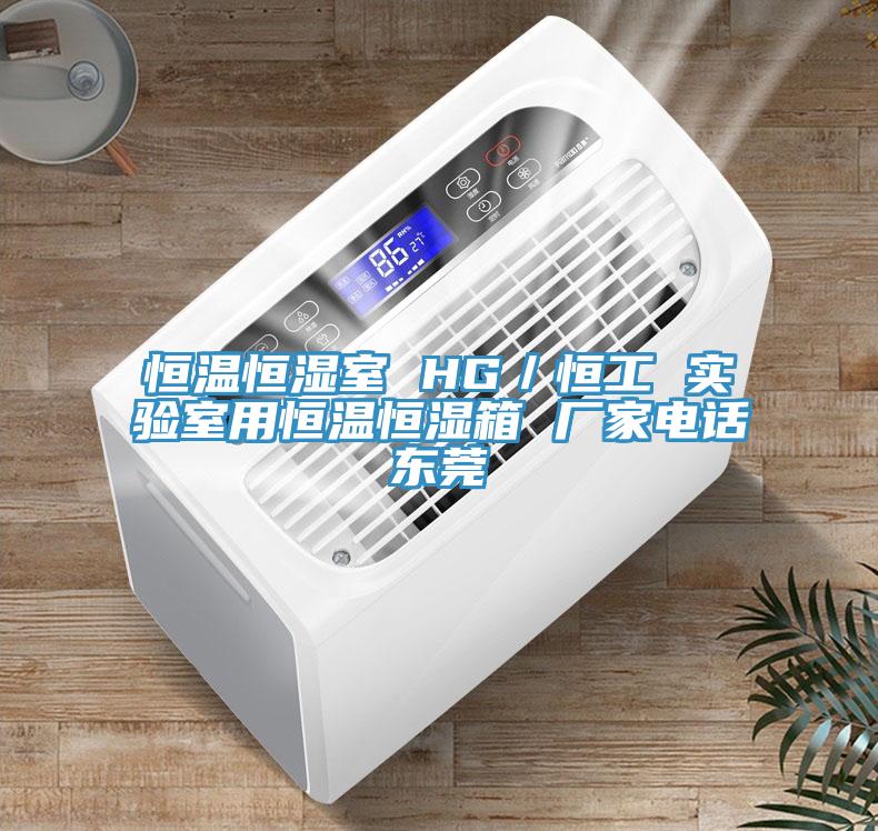 恒温恒湿室 HG／恒工 实验室用恒温恒湿箱 厂家电话东莞