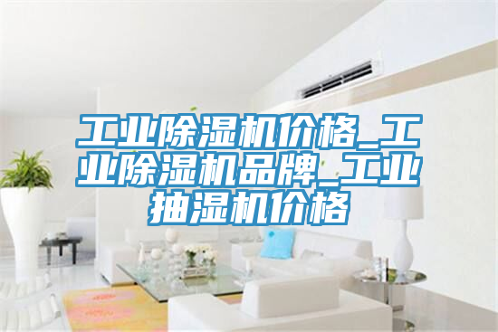 工业除湿机价格_工业除湿机品牌_工业抽湿机价格