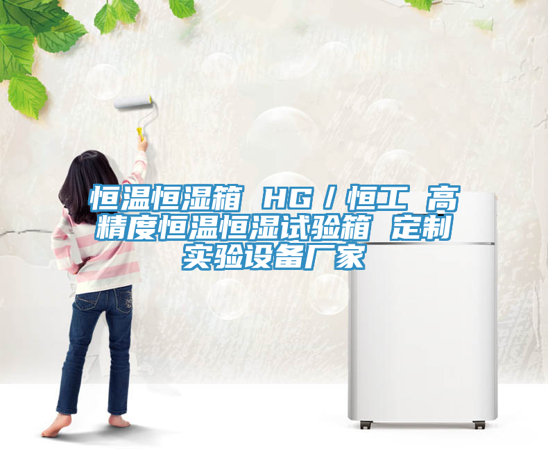 恒温恒湿箱 HG／恒工 高精度恒温恒湿试验箱 定制实验设备厂家