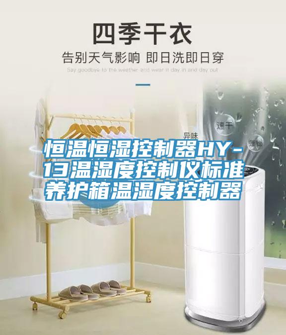 恒温恒湿控制器HY-13温湿度控制仪标准养护箱温湿度控制器