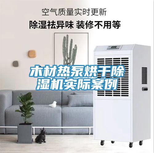 木材热泵烘干除湿机实际案例