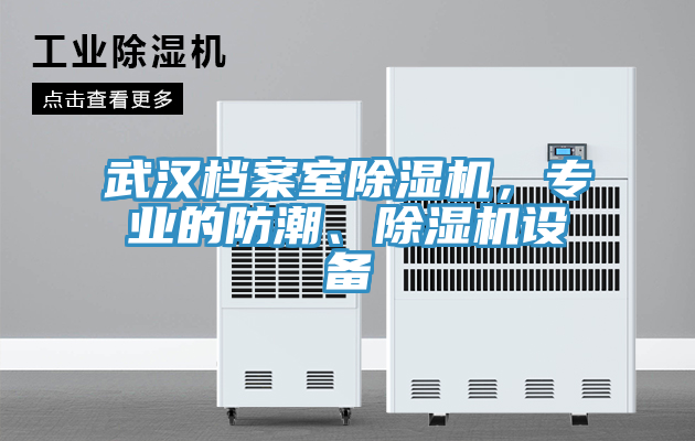 武汉档案室除湿机，专业的防潮、除湿机设备