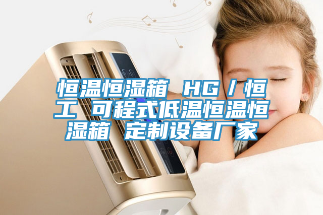恒温恒湿箱 HG／恒工 可程式低温恒温恒湿箱 定制设备厂家