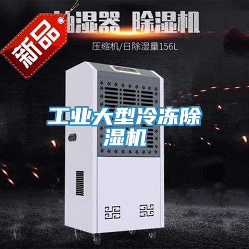 工业大型冷冻除湿机