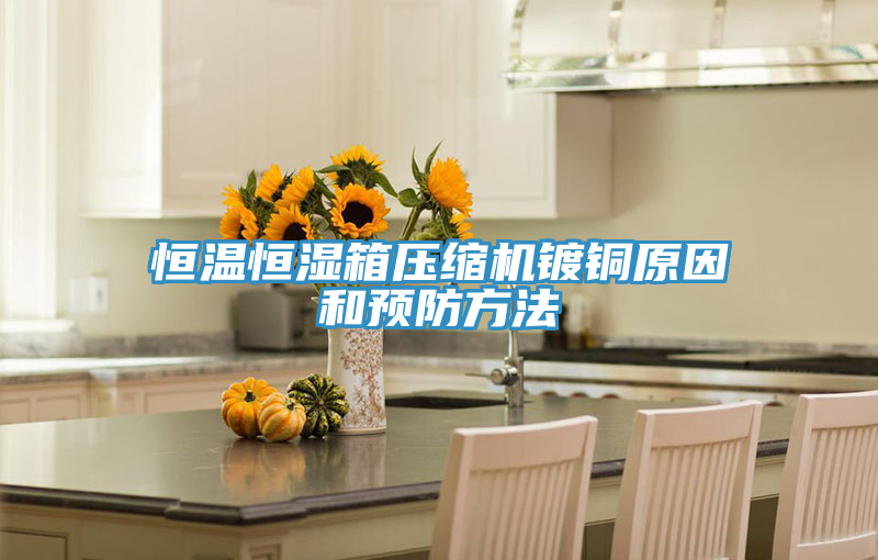恒温恒湿箱压缩机镀铜原因和预防方法