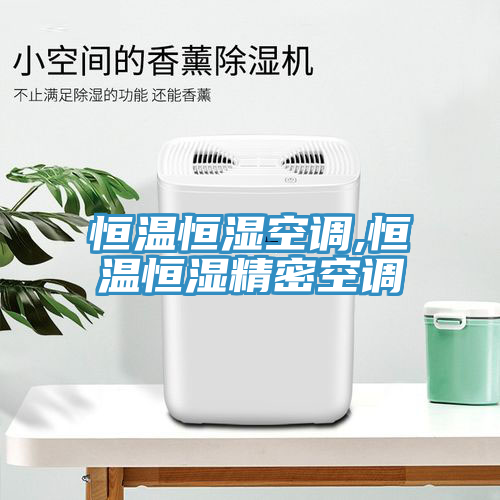 恒温恒湿空调,恒温恒湿精密空调