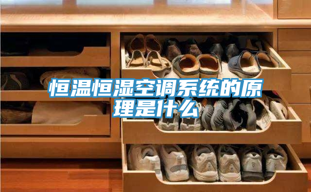 恒温恒湿空调系统的原理是什么