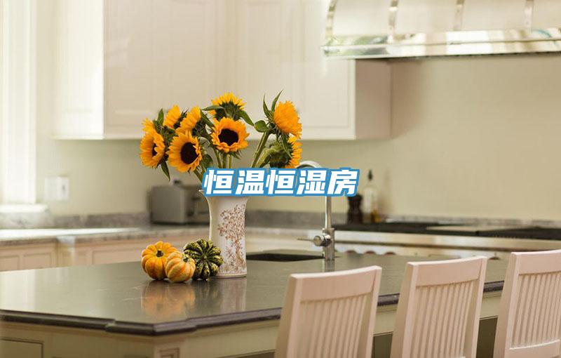 恒温恒湿房