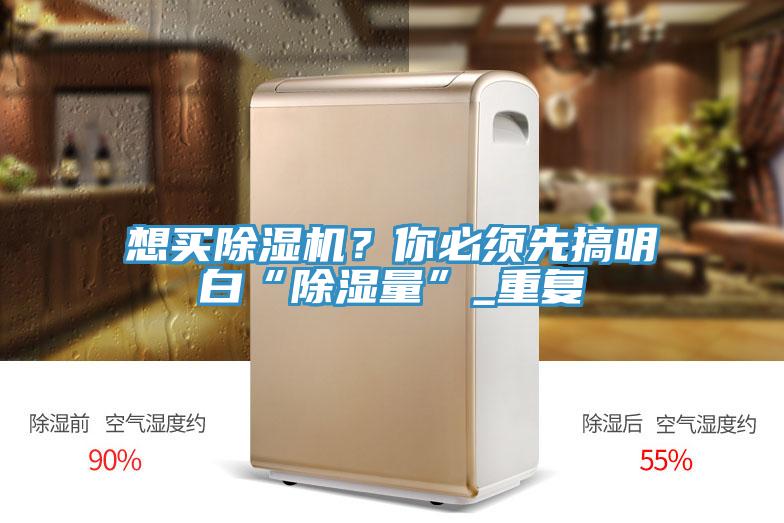 想买除湿机？你必须先搞明白“除湿量”_重复