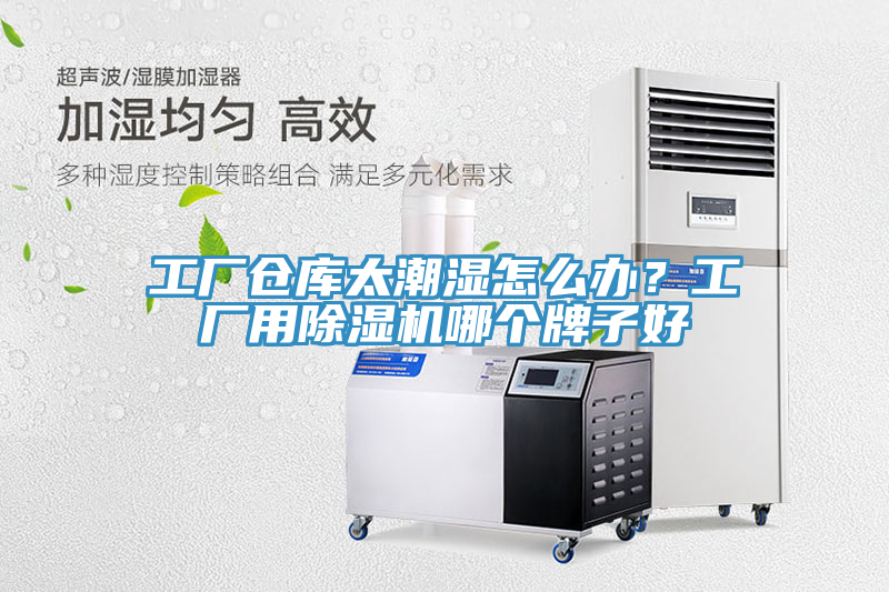 工厂仓库太潮湿怎么办？工厂用除湿机哪个牌子好