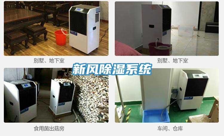 新风除湿系统