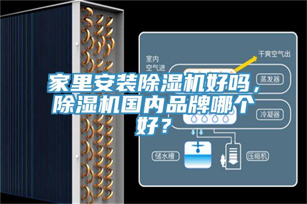 家里安装除湿机好吗，除湿机国内品牌哪个好？