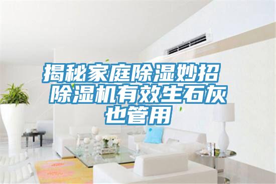 揭秘家庭除湿妙招 除湿机有效生石灰也管用