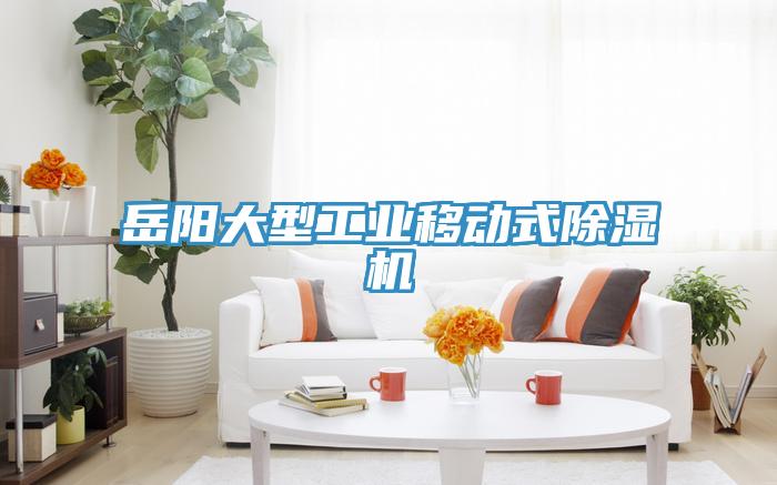 岳阳大型工业移动式除湿机
