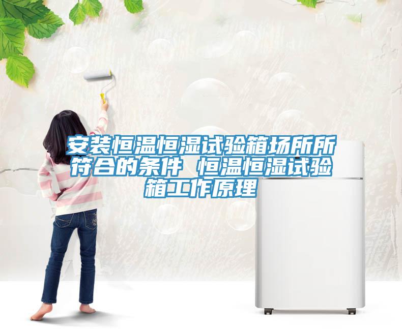 安装恒温恒湿试验箱场所所符合的条件 恒温恒湿试验箱工作原理