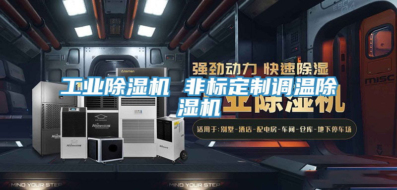 工业除湿机 非标定制调温除湿机