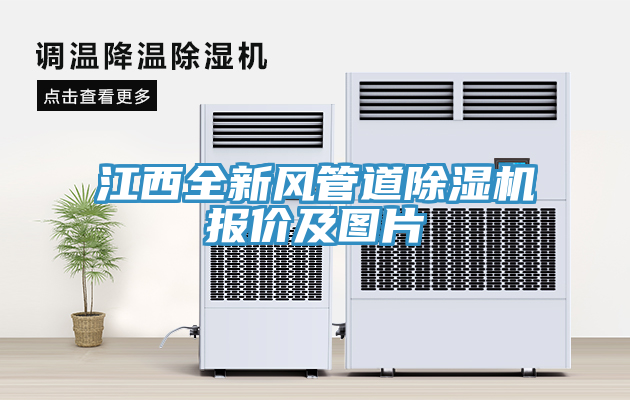 江西全新风管道除湿机报价及图片