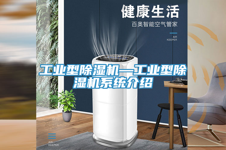 工业型除湿机—工业型除湿机系统介绍