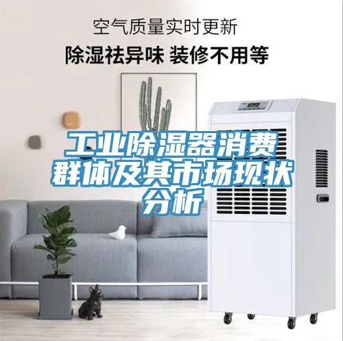 工业除湿器消费群体及其市场现状分析