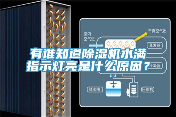 有谁知道除湿机水满指示灯亮是什么原因？