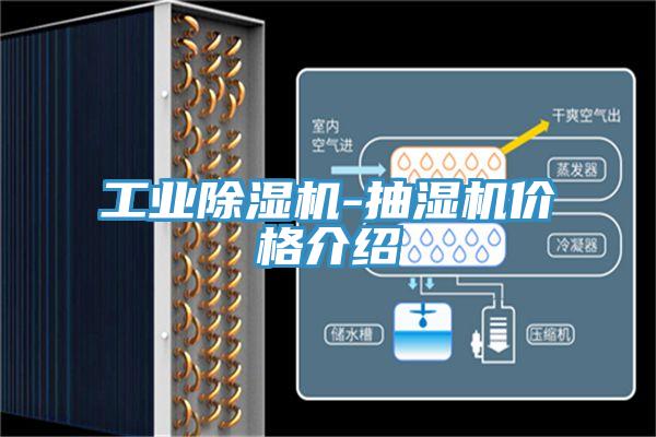 工业除湿机-抽湿机价格介绍