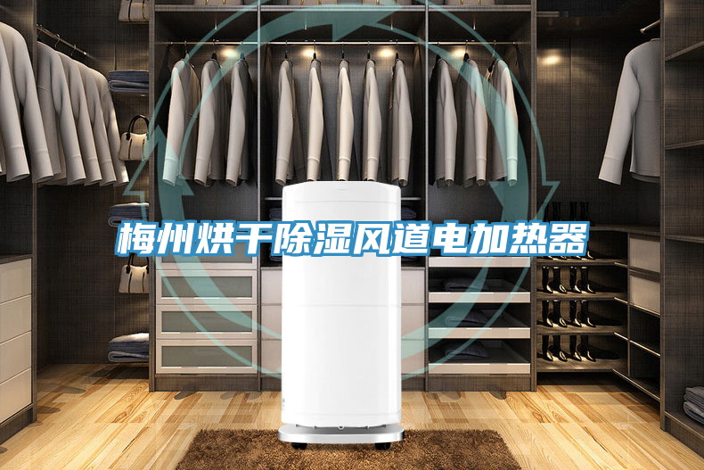 梅州烘干除湿风道电加热器