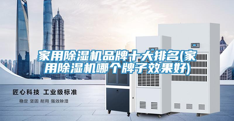 家用除湿机品牌十大排名(家用除湿机哪个牌子效果好)