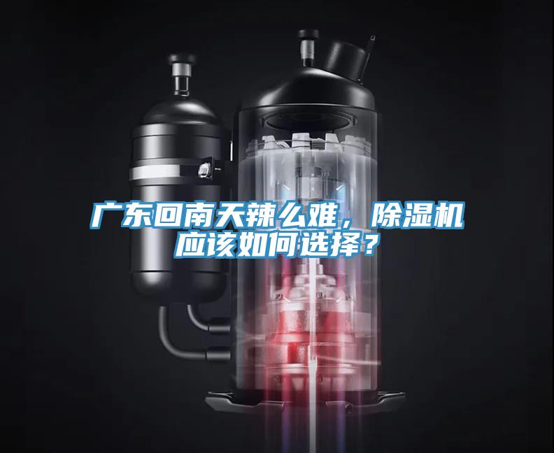 广东回南天辣么难，除湿机应该如何选择？