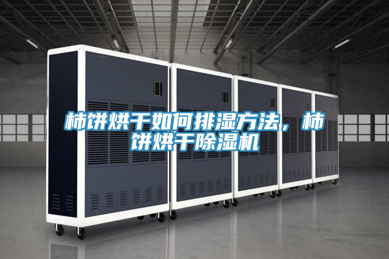 柿饼烘干如何排湿方法，柿饼烘干除湿机