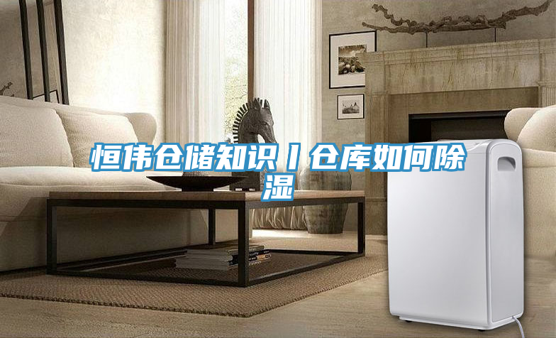恒伟仓储知识丨仓库如何除湿