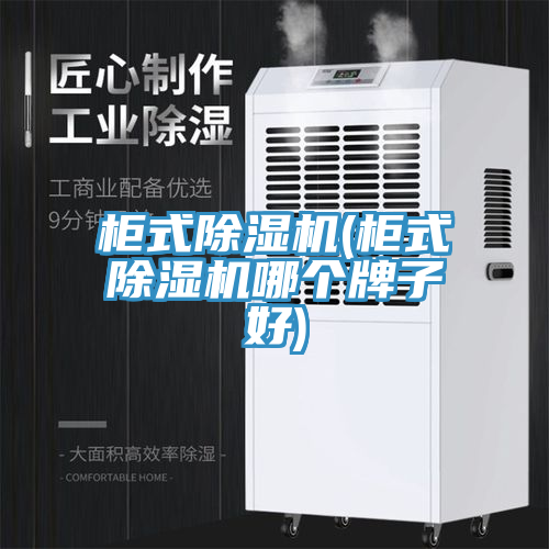 柜式除湿机(柜式除湿机哪个牌子好)