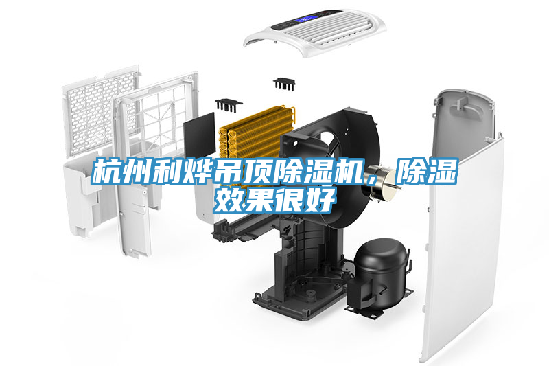 杭州利烨吊顶除湿机，除湿效果很好