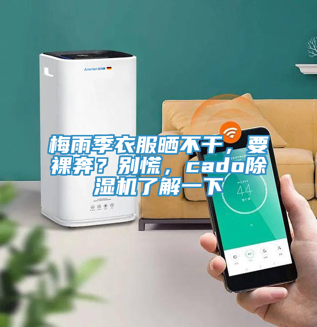 梅雨季衣服晒不干，要裸奔？别慌，cado除湿机了解一下