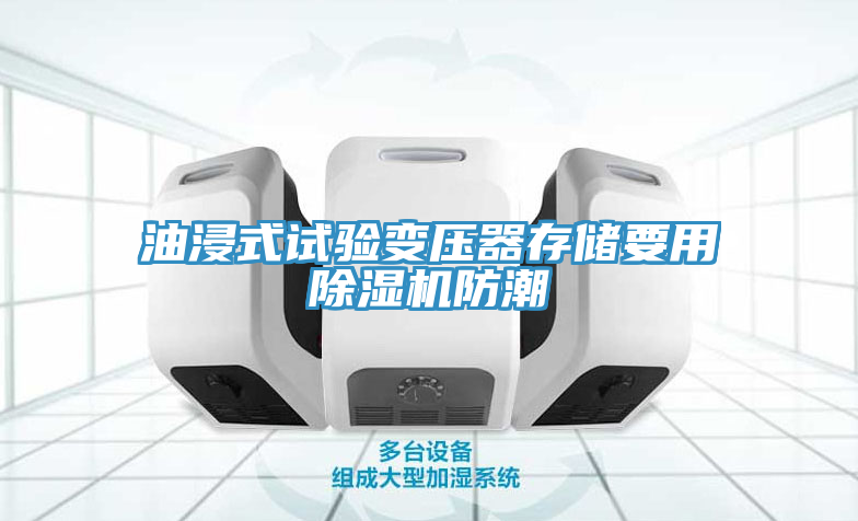 油浸式试验变压器存储要用除湿机防潮