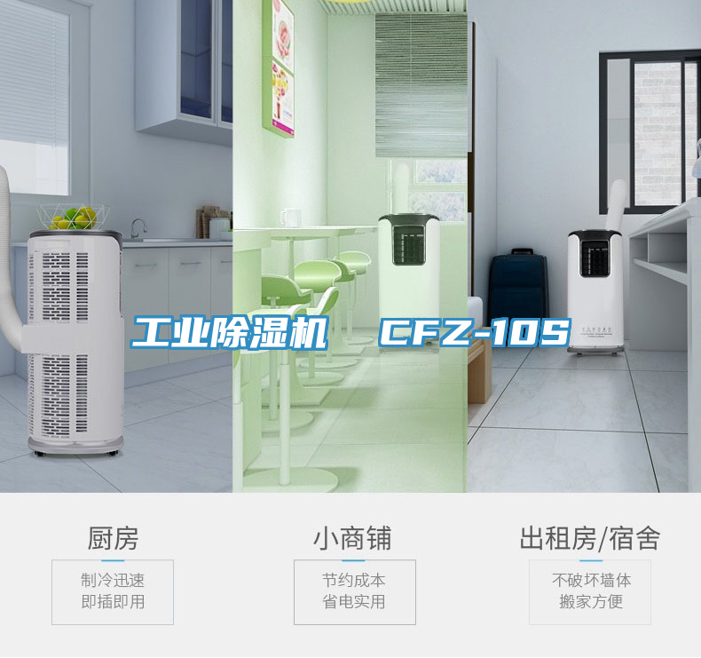 工业除湿机  CFZ-10S