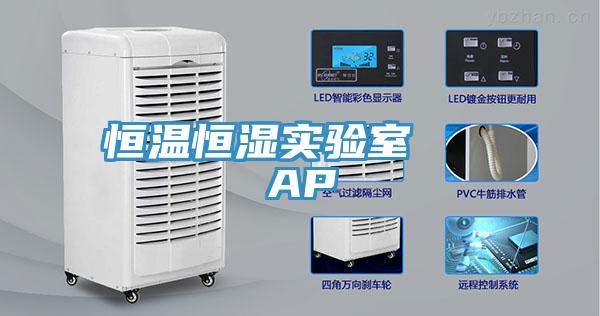 恒温恒湿实验室   AP